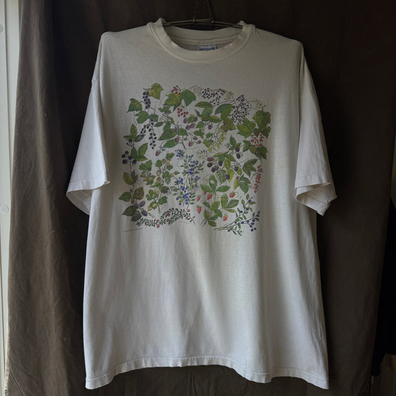 1990s Wild Berries